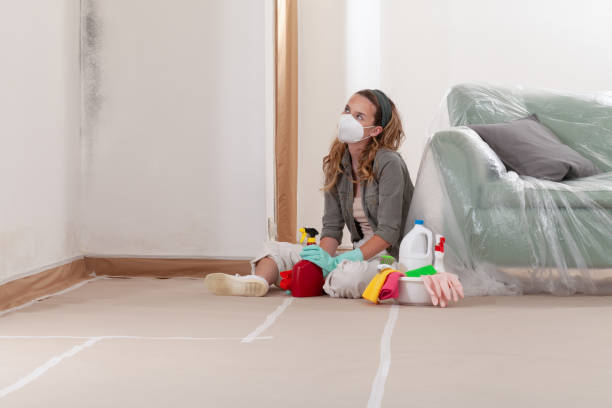 Reliable Mold Testing contractor in Locust Hill, VA by WQB Mold Removal