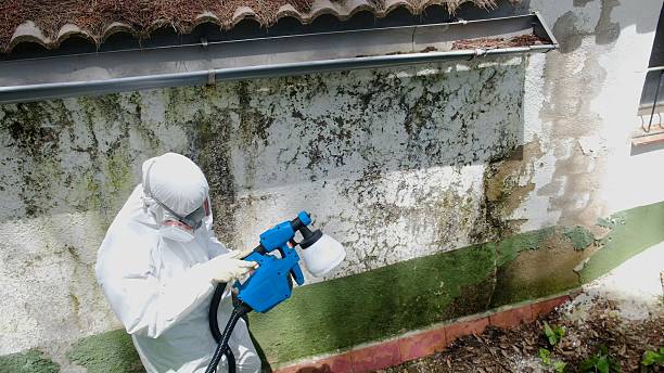 Top rated local Mold Testing specialists in Locust Hill, VA